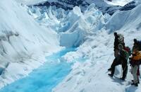 Mini trekking calafate