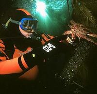 Buceo en Ushuaia