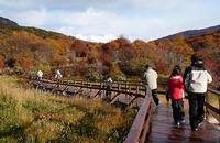trekking parque nacional Ushuaia