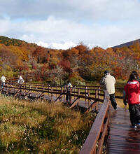 trekking parque nacional Ushuaia trekking parque nacional Ushuaia