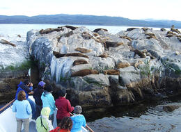 Turistas en la navegación por el Canal Beagle