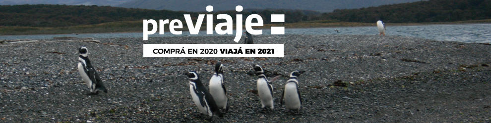 Excursión pingüinera por el Canal Beagle