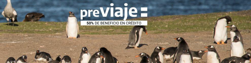 Excursión pingüinera por el Canal Beagle