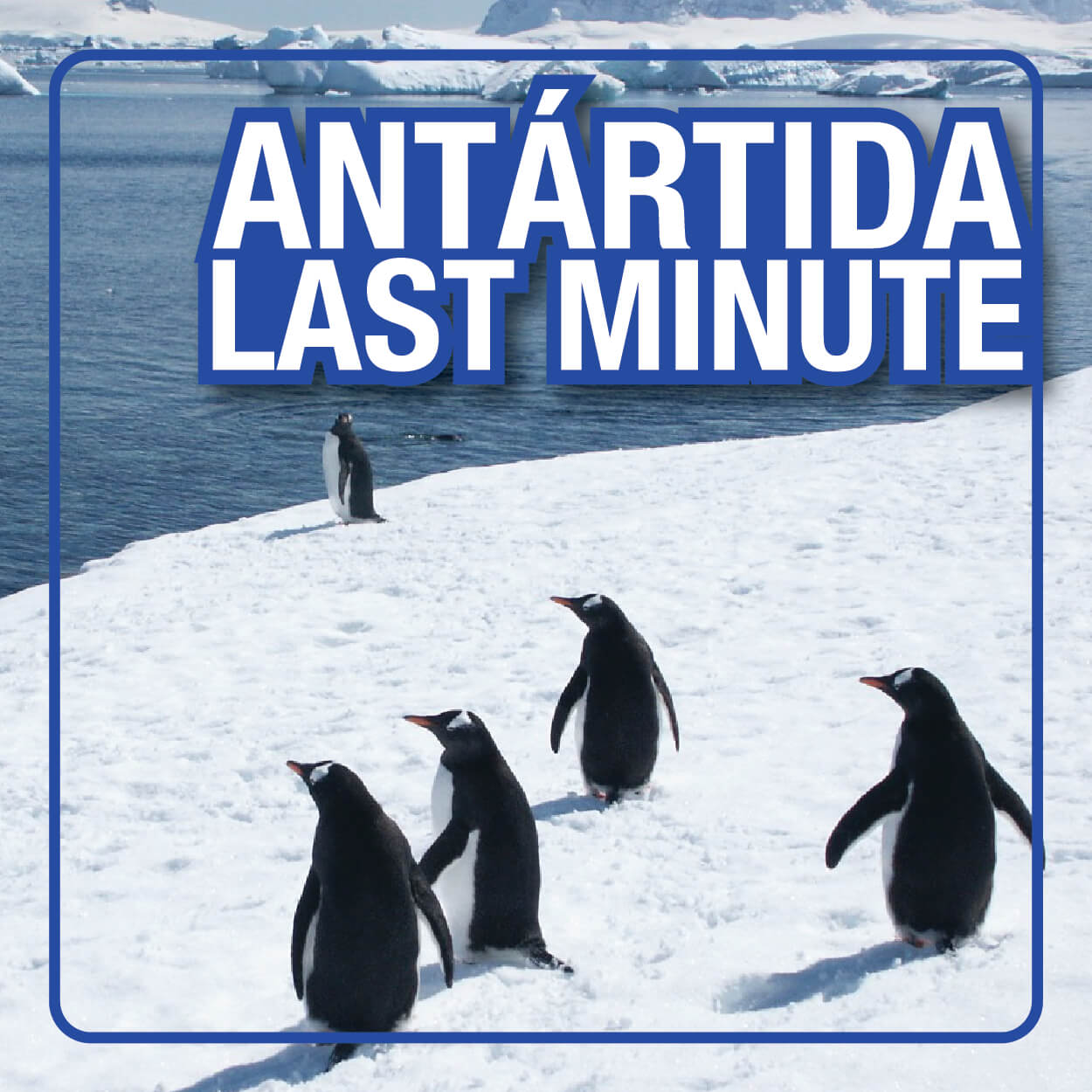 Antartida (Last minute)
