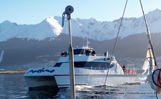 Excursión Pingüinera en el Canal de Beagle