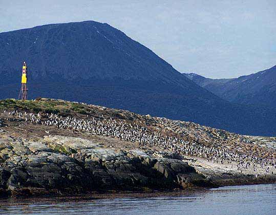 Isla de los pájaros