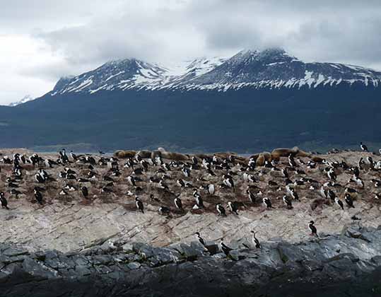 Navegación por Canal Beagle