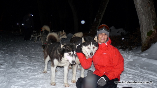 Perros con trineos en excursión Nieve y Fuego