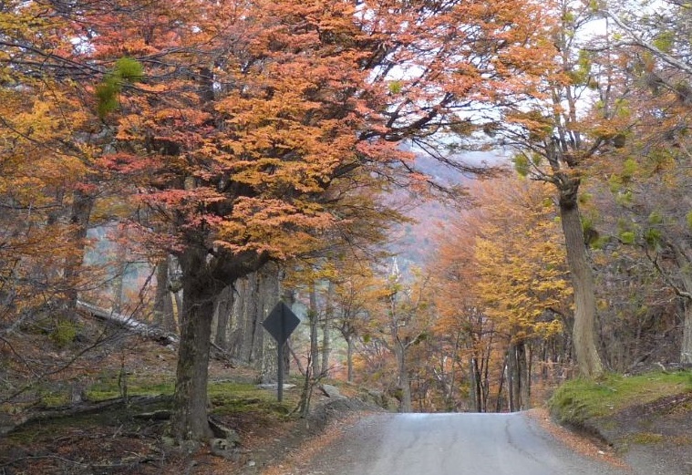 Parque nacional Tierra del Fuego