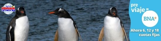 Navegaciones Canal Beagle
