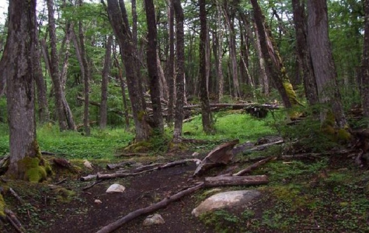 Parque Nacional Tierra del Fuego