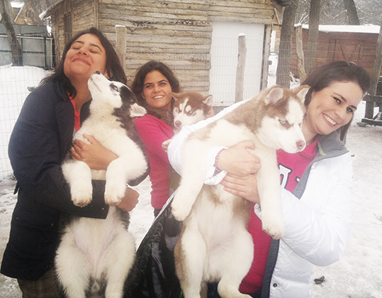 Criadero de Siberian Husky