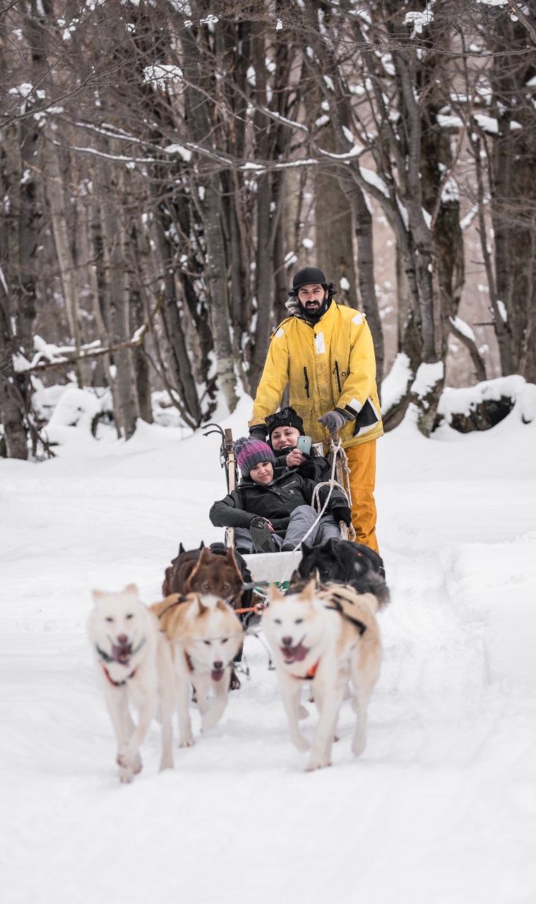 Paseo por la nieve con un perro de trineo